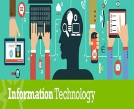 Information Technology and Software Developers